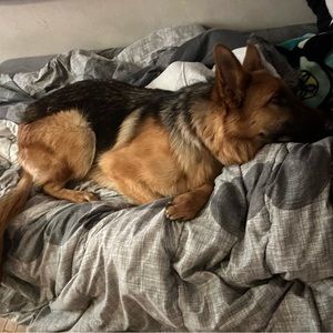 Meet your Posher, Lena